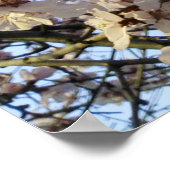 Dekorativer Kirschbaum mit Martisor Poster (Ecke)