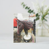 Dekorativer Pferdekopf Postkarte (Stehend Vorderseite)