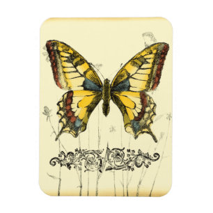 Dekorativer Schmetterling mit Wildblumen Magnet