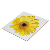 Dekoratives Gelb-Gerber-Daisy-Nah-Up-Foto Fliese (Seite)