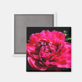 Dekoratives Magnet - Blume (Vorderseite/Rückseite)