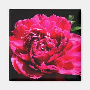 Dekoratives Magnet - Blume