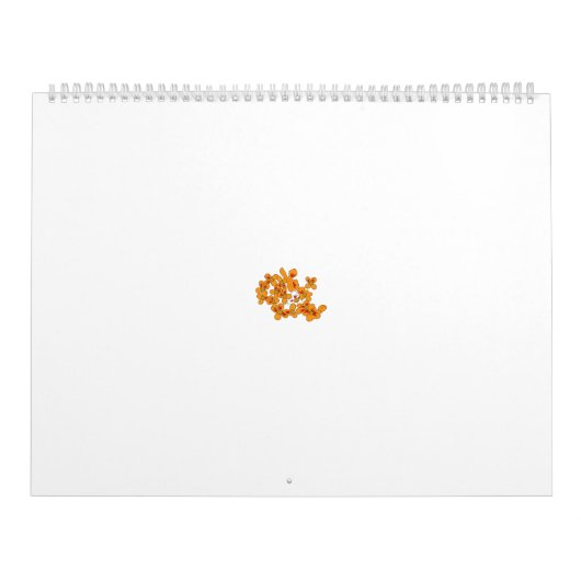 Dekoratives Muster in orange und weiß gestylt fl Kalender (Titelbild)