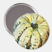 Dekoratives Zerfall Squash Kühlschrank Magnet (Vorderseite/Rückseite)