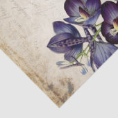 Dekorfarbenes Dekopapier Seidenpapier (Detail)