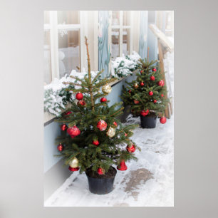 Dekorierte Weihnachtsbäume auf der Straße. Poster