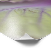 Dekorkohl Fotodruck (Ecke)