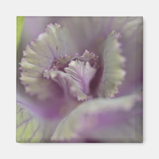 Dekorkohl Magnet (Vorne)