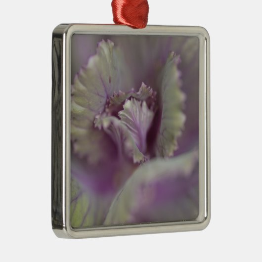 Dekorkohl Silbernes Ornament (Rechts)