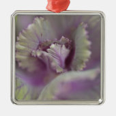 Dekorkohl Silbernes Ornament (Vorne)