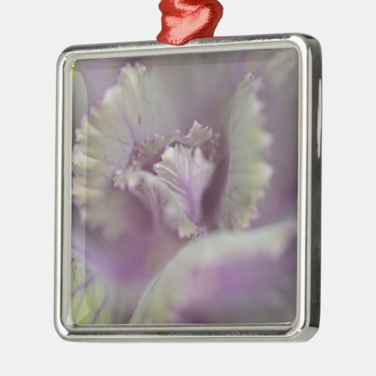 Dekorkohl Silbernes Ornament (Links)