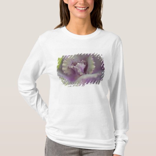 Dekorkohl T-Shirt (Vorderseite)