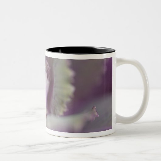 Dekorkohl Zweifarbige Tasse (Rechts)