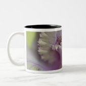 Dekorkohl Zweifarbige Tasse (Links)