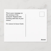 Dekormaterialien oder Dekorationsartikel Postkarte (Rückseite)