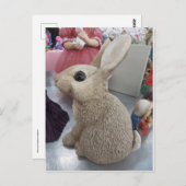 Dekorrabbit Postkarte (Vorne/Hinten)