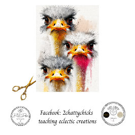 Dekoupage Australisches Emu-Trio-Wildlife-Kunst  Seidenpapier