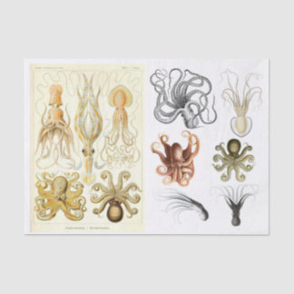 Dekoupage Collage des Vintagen Octopus-Tintenfisch Seidenpapier