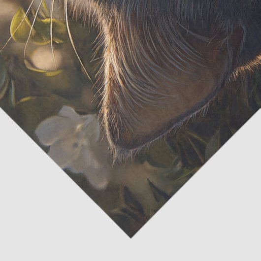 Dekoupage der Blue Cat White Blume Seidenpapier (Detail)