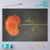 Dekoupage der botanischen Malerei Seidenpapier (Basteln)