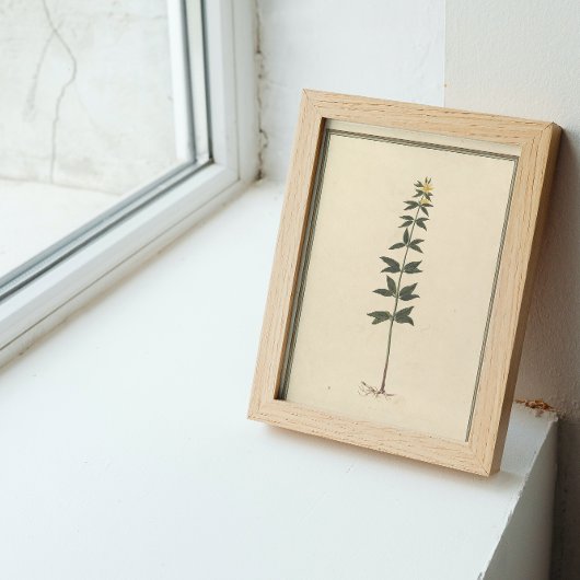 Dekoupage der botanischen Studie Seidenpapier