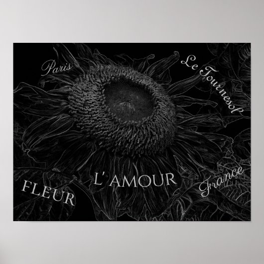 Dekoupage der Sonnenblumen Schwarz-Weiß-Blütenschr Poster (Vorne)