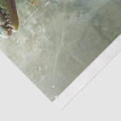 Dekoupage des ägyptischen Alligators Seidenpapier (Ausschnitt)