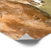 Dekoupage des amerikanischen Saddlebred Horses Poster (Ecke)