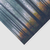 Dekoupage des Misty Forest Path Seidenpapier (Ausschnitt)