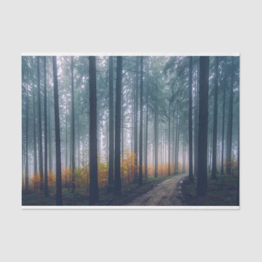 Dekoupage des Misty Forest Path Seidenpapier (Vorderseite)