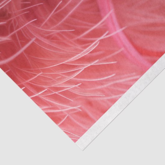 Dekoupage des rosafarbenen Glamours Seidenpapier (Ausschnitt)