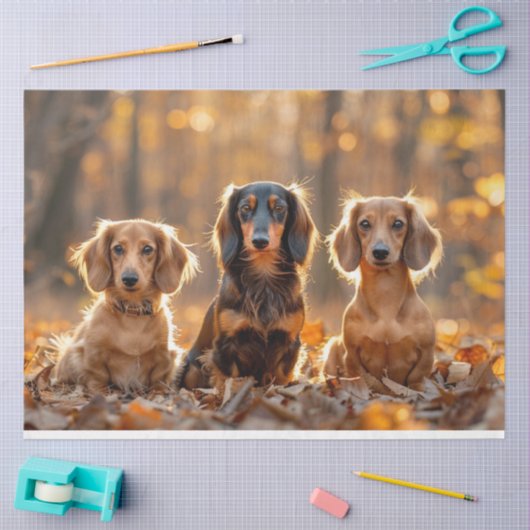 Dekoupage Fall Einstellung Dackeln Herbstlemme Seidenpapier (Basteln)