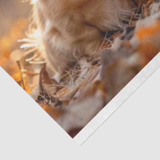 Dekoupage Fall Einstellung Dackeln Herbstlemme Seidenpapier (Ausschnitt)