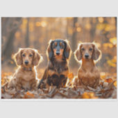 Dekoupage Fall Einstellung Dackeln Herbstlemme Seidenpapier (Vorderseite)