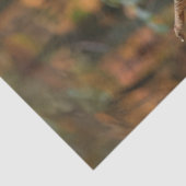 Dekoupage Fall Figurines in Kürbiswald Seidenpapier (Ausschnitt)