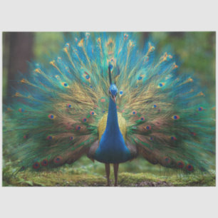 Dekoupage Forstwesen Königlicher Pfau Seidenpapier