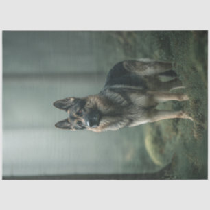 Dekoupage German Shepard in Misty Forest Seidenpapier