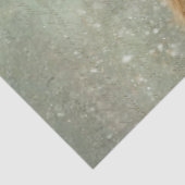 Dekoupage Highland Calf Winter Handgeschriebenes S Seidenpapier (Ausschnitt)