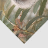 Dekoupage Koala Wildblumen auf Baumstumpf Botanisc Seidenpapier (Ausschnitt)