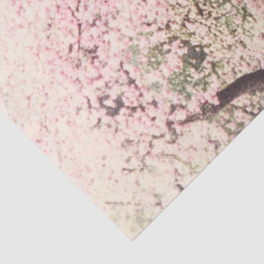 Dekoupage Kyoto's Gardens Cascading Waterfall Seidenpapier (Ausschnitt)