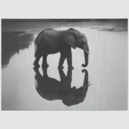 Dekoupage Majestic African Elephant & Reflection Seidenpapier