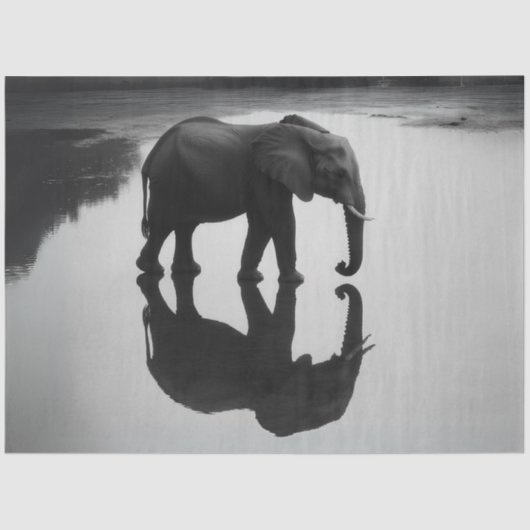 Dekoupage Majestic African Elephant & Reflection Seidenpapier (Vorderseite)