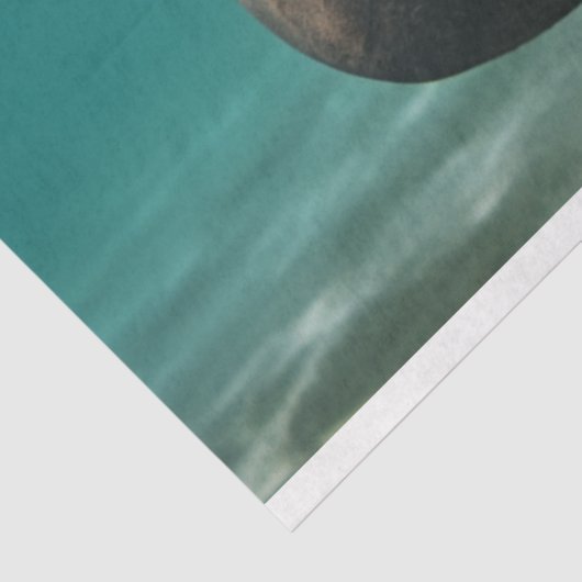 Dekoupage Ocean Manatee Family Seidenpapier (Ausschnitt)