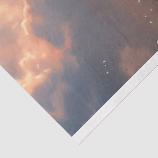 Dekoupage Ocean Turtle on Beach Seidenpapier (Ausschnitt)