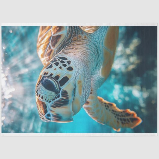 Dekoupage Ocean Wildlife Fred the Mad Sea Turtle Seidenpapier (Vorderseite)