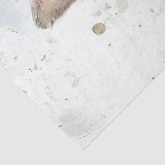 Dekoupage Osterkaninchen Hintergrund Seidenpapier (Ausschnitt)