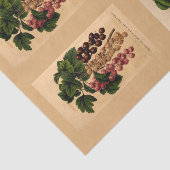 Dekoupage Paper 10"x15" - Botanischer Art 39 Seidenpapier (Ausschnitt)