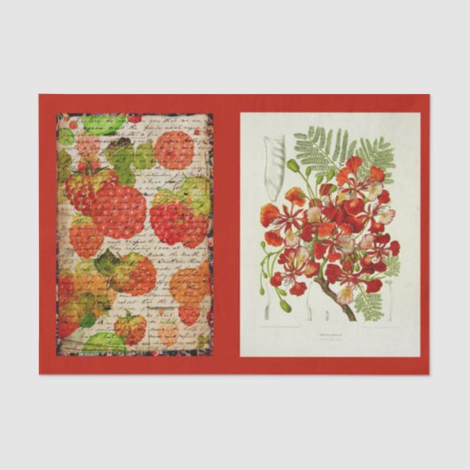 Dekoupage Paper 10"x15" - Botanischer Art 53 Seidenpapier (Vorderseite)