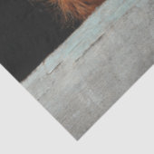 Dekoupage Rustikaler Highland-Kalb Peek a Boo Kuns Seidenpapier (Ausschnitt)