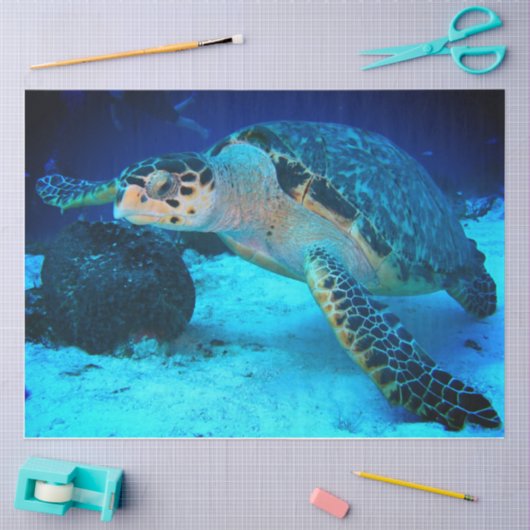 Dekoupage Sea Turtle Tissue Paper Seidenpapier (Basteln)
